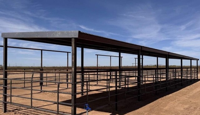 4-bedroom house w/4 stalls for your horses in peaceful Wittmann, AZ - 3B26946