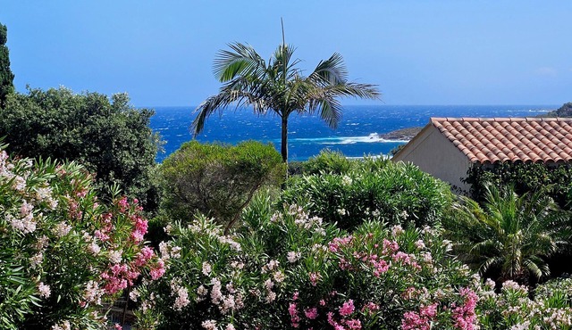 A 300 Mètres de la Superbe Plage de Sant'ambroggio, Dans un Quartier Calme