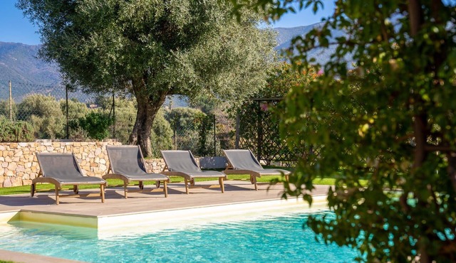 A quiet, authentic family villa with swimming pool