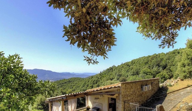 A stadda - COGNOCOLI MONTICCHI