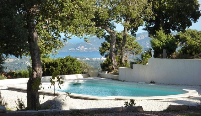 Apartment/flat - Porto-vecchio