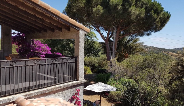 Apartment/flat - SERRA DI FERRO