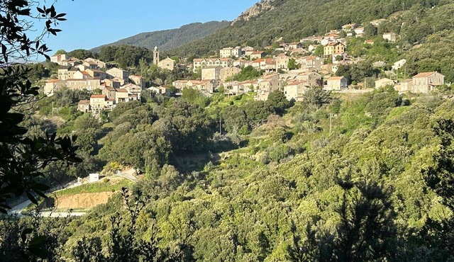 Apartment in South Corsica, in a 500m high village.
