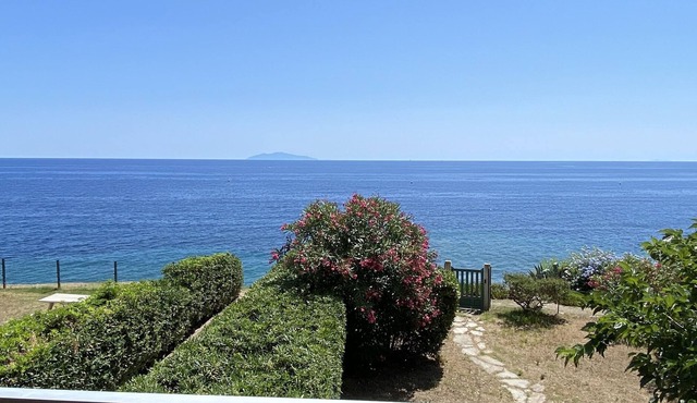 Appartement Avec Terrasse à 50 Mètres de la mer