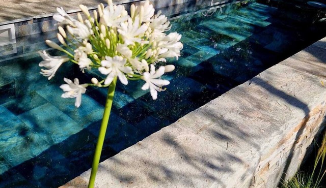 Appartement Avec Jardin Terrasse et Piscine Privée Dans Maison de Village