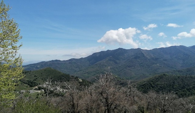 Appartement au Pied du San Petrone, en Plein Cœur de la Castagniccia