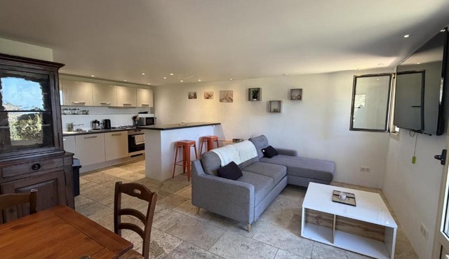 Appartement Type T3 Rdc avec Terrasse Occhiatana