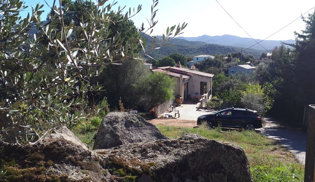 Arbutus trees. Top of house with garden. 500 meters from the beach.