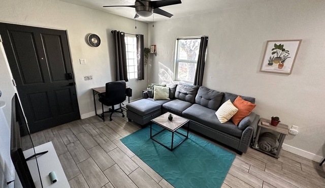 Artsy Modern Downtown 2 Bed Home with Garage & Backyard. Pet friendly!