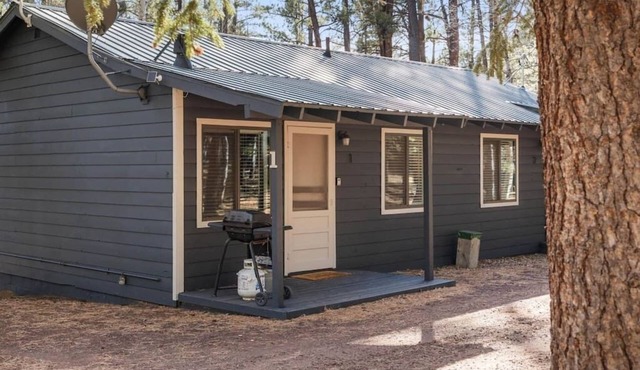 Aspen Cabin 1