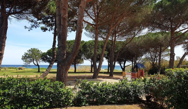 At the end of the garden, the pine forest and the beach