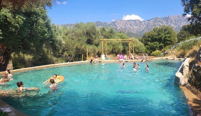 Authentic 18th-century mill with 120 m² pool in 50-hectare olive grove.