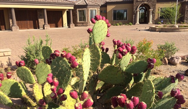 AUTHENTIC SANTA FE TUSCAN-STYLE VILLA WITH PANORAMIC VIEWS.