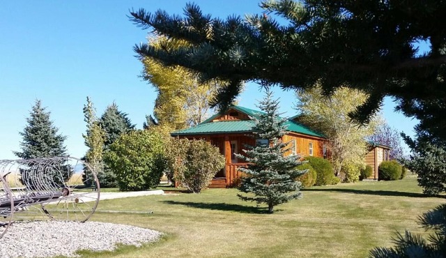 AWESOME Value, Clean cozy & quiet cabin, close to Beaverhead River, Great Views!