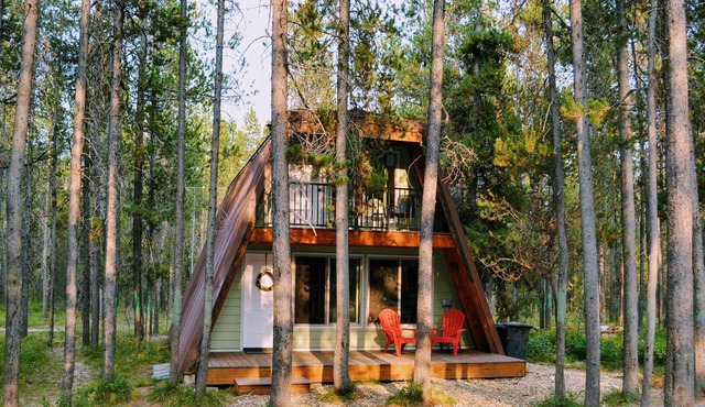 Basecamp @ Island Park - Completely renovated - 25 min to Yellowstone