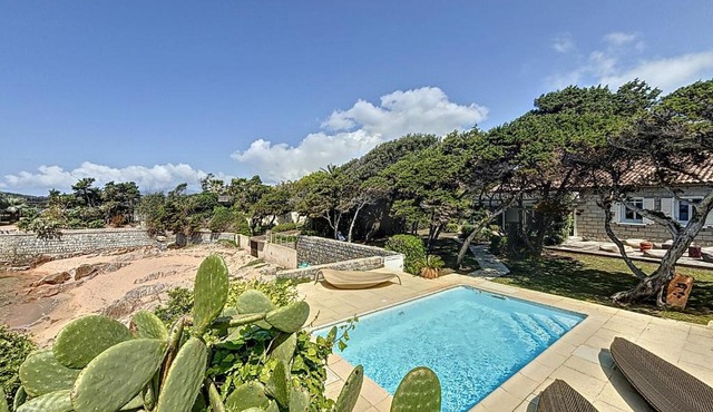 Beachfront villa - Swimming pool & garden