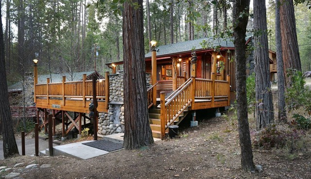 Bear Foot Pines