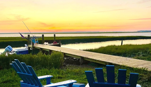 Beau Point: Dog-Friendly Waterfront w/dock "Where live oaks meet the sea…”