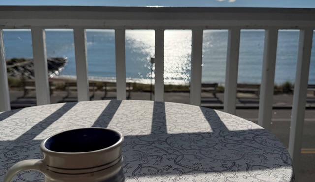 Beautiful Beachfront “Oasis by the Sea” in the Heart of Oak Bluffs!