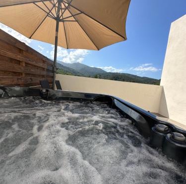 Bergerie avec spa vue montagne