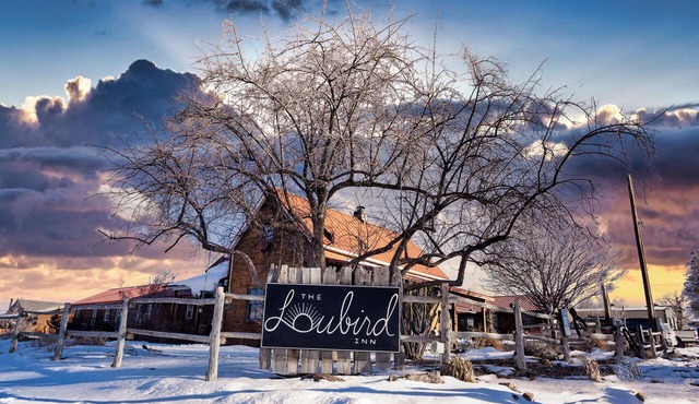 Boutique Retreat, Loubird House