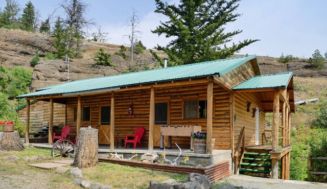 Cabin 10 miles outside Yellowstone National Park, Gorgeous views, Campfire area