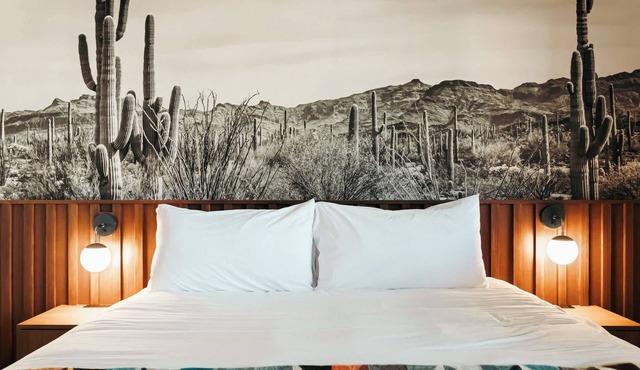 Cactus Jack's Hideout | La Vista Motel | 208