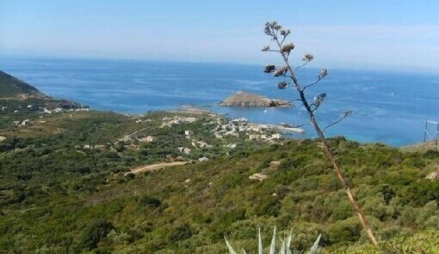 Cap Corse - centuri seaside