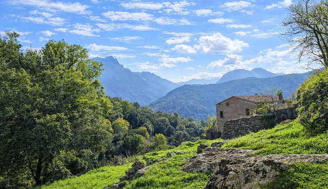 Casa Di Babbo