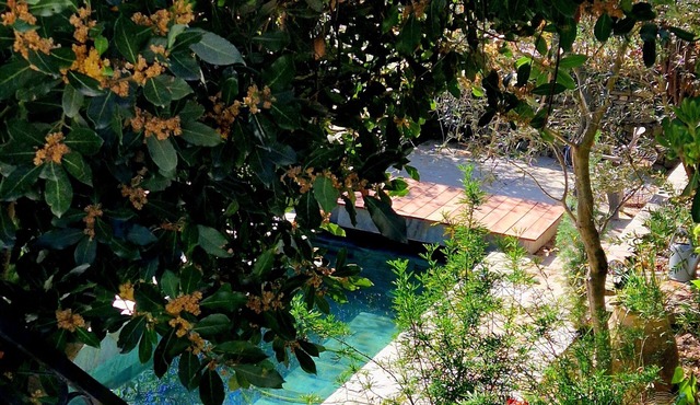 Casa Olmu and its garden in the heart of Conca D'oru, charming apartment