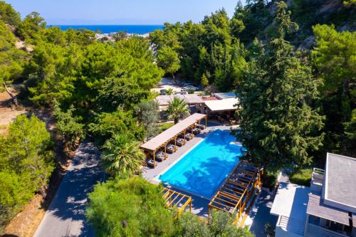 Casa Trees Hotel