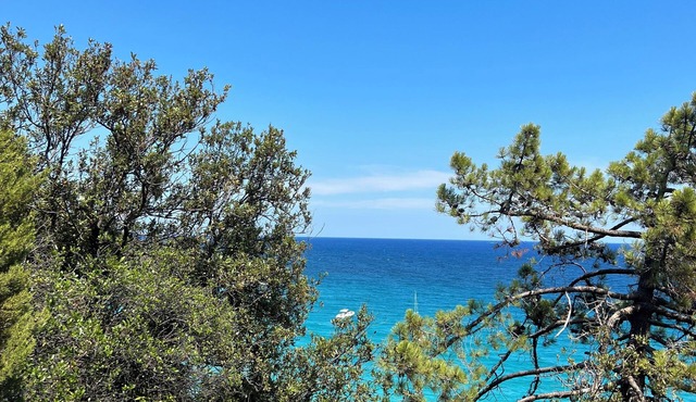 CASABELLA HOLIDAY HOME: An enchanted interlude between sea and scrubland