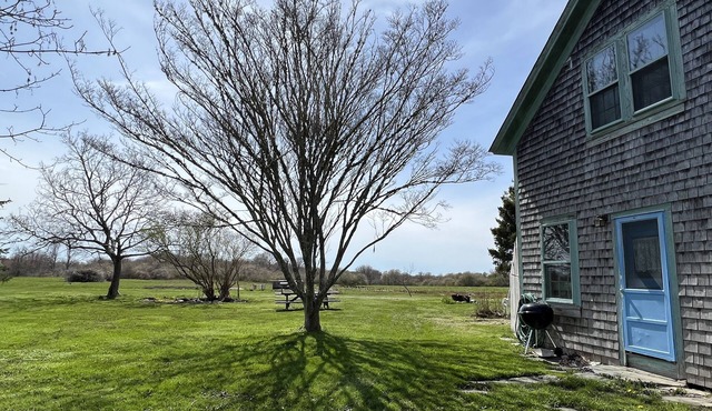 Casual Farmhouse