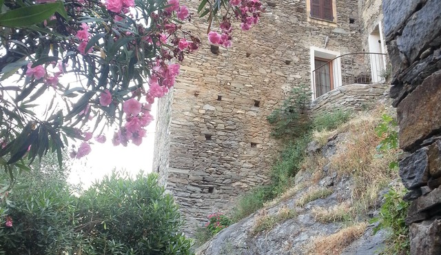 CHARMING HOUSE IN TYPICAL VILLAGE OF HAUTE CORSE