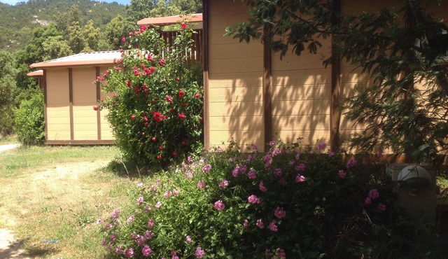 Charming little chalets in the mountains and only 15 minutes from the sea