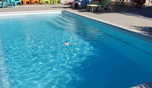 Charming villa with swimming pool 5 minutes from Calvi's beaches and 7 minutes from the town center