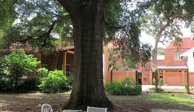 Clean-Serene-Green, Best Location-Central-Historic, Large, Comfy, Accommodating