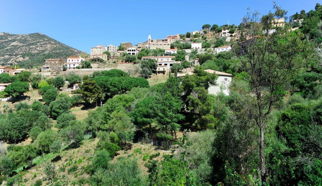 Cosy apartment for 4 people with WIFI, A/C, TV, patio, pets allowed and panoramic view