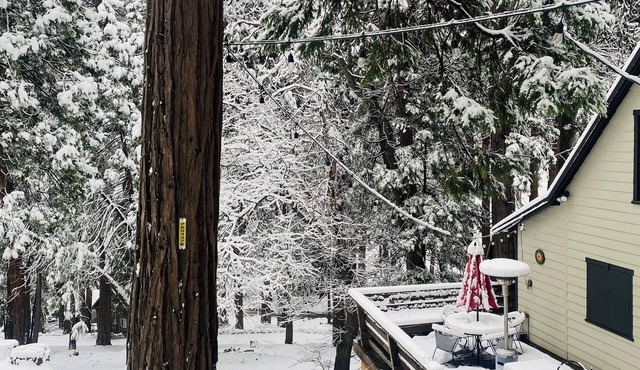 Cozy 2-bedroom cabin near Alta sierra ski resort with stunning views.