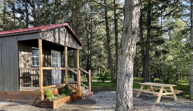 Cozy cabin in the trees