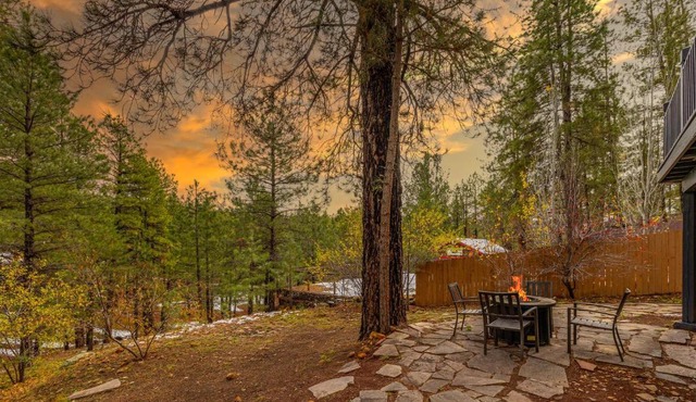 Cozy Hilltop Retreat Quiet Street Near Downtown and NAU Private Forested Setting