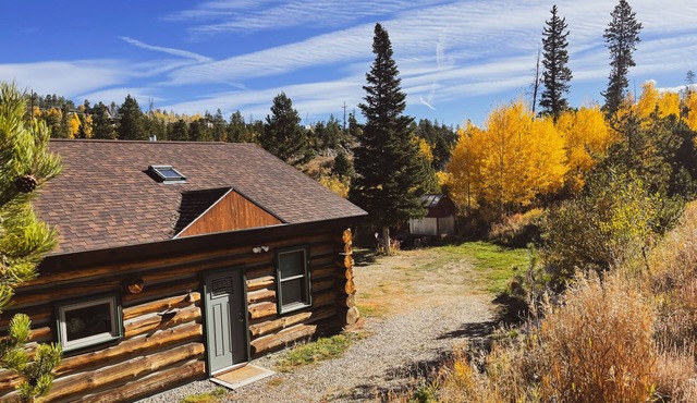 Cozy, Modern Log Cabin Getaway ~ 20 Min to Winter Park