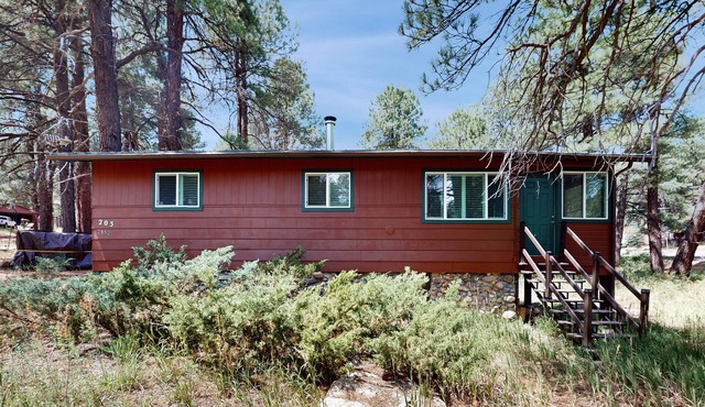 Cozy woodland with fireplace & patio, near trails, Flagstaff & national forest