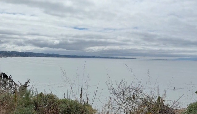 Cute Studio Spectacular-endless Ocean Views charming Depot Hill Capitola Village
