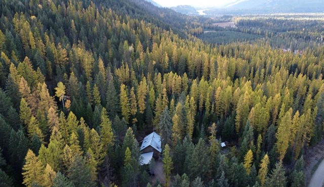 Cute Tiny House in the Woods for a Peaceful Getaway in Nature near Clark Fork, Idaho