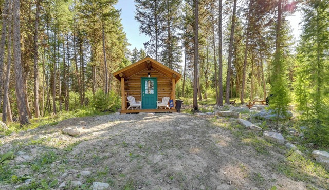 Day Trip to Glacier NP: Nature-Packed Cabin!