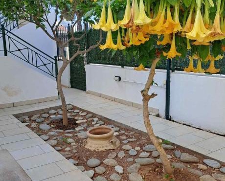 Dimitris place near Athens airport
