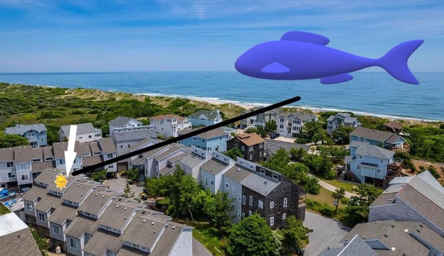 Dogs stay FREE! 2-min walk to beach-2Bedrooms-3Beds -3Baths-Pool-Linens Provided