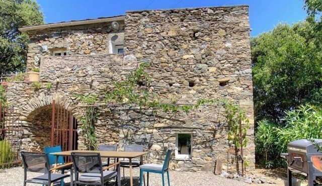 Domaine Vecchio 2 - CHIATRA DI VERDE