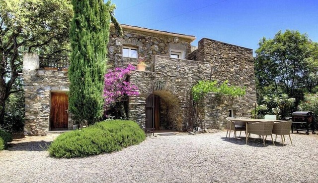 Domaine Vecchio 1 - CHIATRA DI VERDE